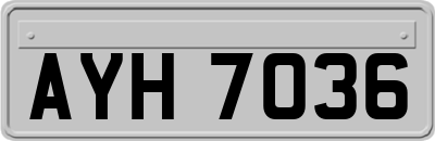 AYH7036