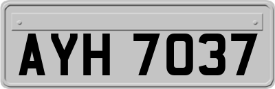 AYH7037