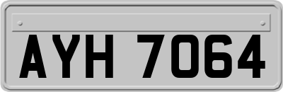 AYH7064