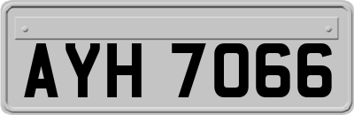 AYH7066