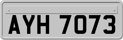 AYH7073
