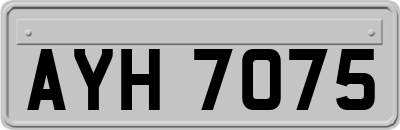 AYH7075