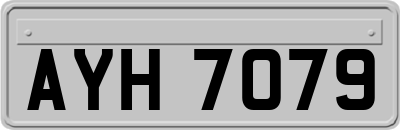 AYH7079