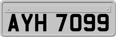 AYH7099
