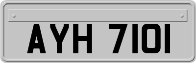 AYH7101