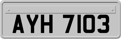 AYH7103