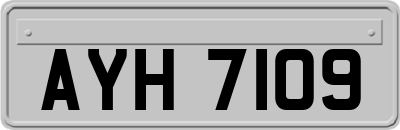 AYH7109