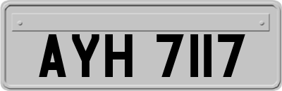 AYH7117