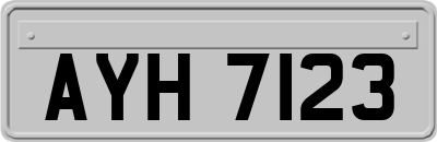 AYH7123