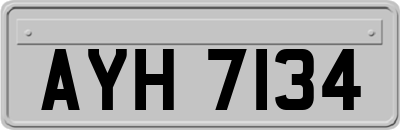 AYH7134
