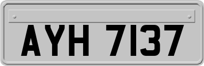 AYH7137
