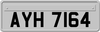 AYH7164