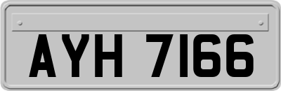AYH7166