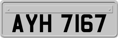 AYH7167