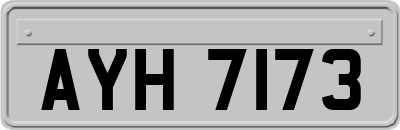 AYH7173