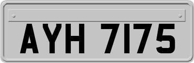 AYH7175
