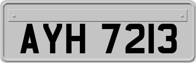 AYH7213