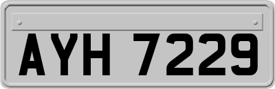 AYH7229