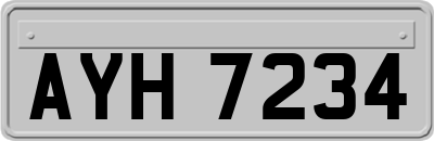 AYH7234