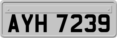 AYH7239