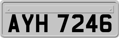 AYH7246