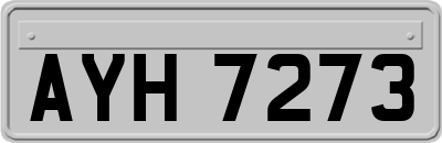 AYH7273