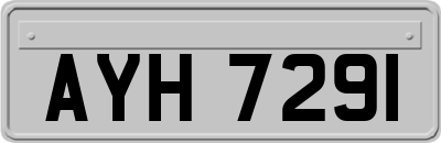 AYH7291