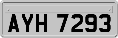 AYH7293