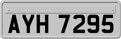 AYH7295