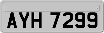 AYH7299