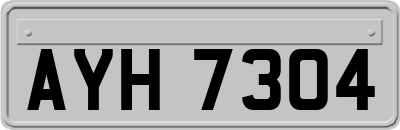 AYH7304