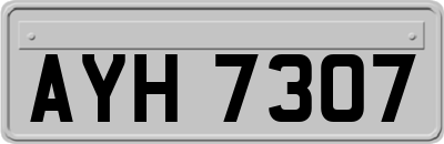 AYH7307