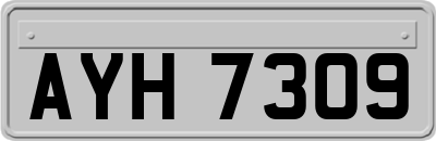 AYH7309