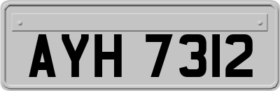 AYH7312