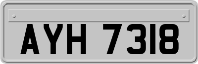 AYH7318