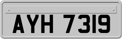 AYH7319