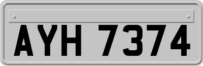 AYH7374