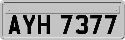 AYH7377