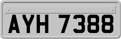 AYH7388