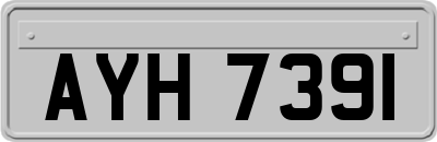 AYH7391