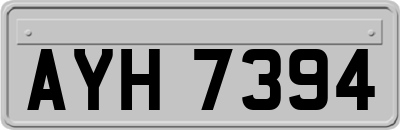 AYH7394