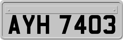 AYH7403