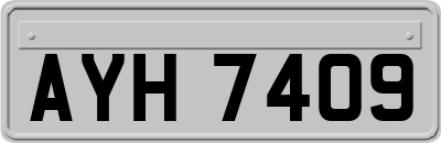 AYH7409