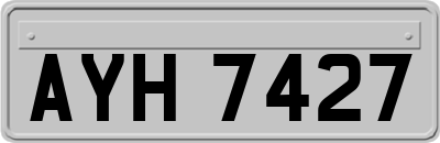 AYH7427