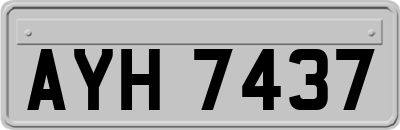 AYH7437