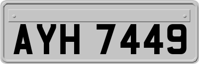 AYH7449