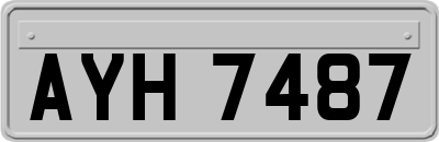 AYH7487