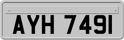 AYH7491