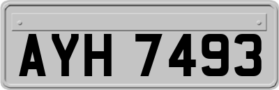AYH7493