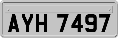 AYH7497